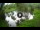 Webcam in Isla Santa Cruz (Galápagos Islands), 581.6 mi away