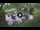 Webcam in Isla Santa Cruz (Galápagos Islands), 424.6 mi away