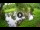 Webcam in Isla Santa Cruz (Galápagos Islands), 1379.9 mi away