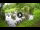 Webcam in Isla Santa Cruz (Galápagos Islands), 576.1 mi away