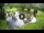 Webcam in Isla Santa Cruz (Galápagos Islands), 576.1 mi away