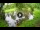 Webcam in Isla Santa Cruz (Galápagos Islands), 424.6 mi away