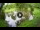 Webcam in Isla Santa Cruz (Galápagos Islands), 34 mi away