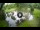 Webcam in Isla Santa Cruz (Galápagos Islands), 34 mi away