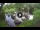Webcam in Isla Santa Cruz (Isole Galapagos), 1058.7 km