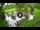 Webcam in Isla Santa Cruz (Isole Galapagos), 1078.9 km