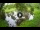 Webcam in Isla Santa Cruz (Galápagos Islands), 576.1 mi away
