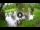 Webcam in Isla Santa Cruz (Galápagos Islands), 518.5 mi away