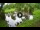 Webcam in Isla Santa Cruz (Galápagos Islands), 576.1 mi away