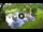 Webcam in Isla Santa Cruz (Galápagos Islands), 576.1 mi away
