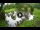 Webcam in Isla Santa Cruz (Galápagos Islands), 576.1 mi away