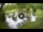 Webcam in Isla Santa Cruz (Galápagos Islands), 34 mi away