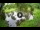 Webcam in Isla Santa Cruz (Galápagos Islands), 512.7 mi away