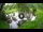 Webcam in Isla Santa Cruz (Galápagos Islands), 34 mi away