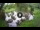 Webcam in Isla Santa Cruz (Galápagos Islands), 666.7 mi away