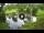 Webcam in Isla Santa Cruz (Galápagos Islands), 34 mi away