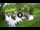 Webcam in Isla Santa Cruz (Galápagos Islands), 581.6 mi away