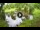 Webcam in Isla Santa Cruz (Galápagos Islands), 576.1 mi away