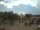 Webcam in Cadereyta de Montes, 426.5 km