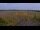 Webcam in Vanderhoof, 58.4 mi away