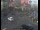 Webcam in London, 1.3 mi away