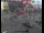 Webcam in London, 0.3 mi away