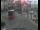 Webcam in London, 0.6 mi away