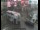 Webcam in London, 25.1 mi away