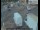 Webcam in Londra, 5.1 km