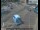Webcam in London, 1.4 mi away