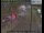 Webcam in London, 0.7 mi away