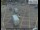 Webcam in Londra, 5.1 km