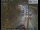 Webcam in London, 1 km entfernt