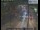 Webcam in London, 1.4 mi away
