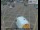 Webcam in London, 78.1 km