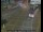 Webcam in London, 1.4 mi away