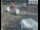 Webcam in London, 21.1 mi away