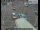 Webcam in London, 1.4 mi away