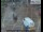 Webcam in London, 1.4 mi away