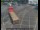 Webcam in London, 21.1 mi away