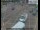 Webcam in London, 1.4 mi away