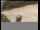 Webcam su Langeoog, 7.3 km