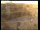 Webcam on Langeoog, 2.9 mi away