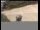 Webcam in Langeoog, 0 km