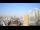 Webcam in Houston, Texas, 14.6 mi away