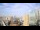 Webcam in Houston, Texas, 75.5 km