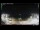 Webcam in Torrevieja, 36.7 km entfernt