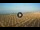 Webcam in Lido di Jesolo, 1.5 km entfernt