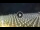 Webcam in Lido di Jesolo, 1.9 mi away