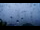 Webcam in Taipei, 742.8 km